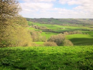 Stoke Water valley.    